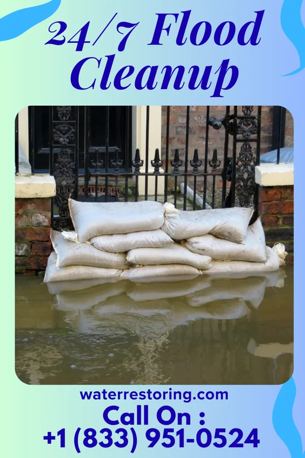 24/7 Flood Cleanup in Delway, NC