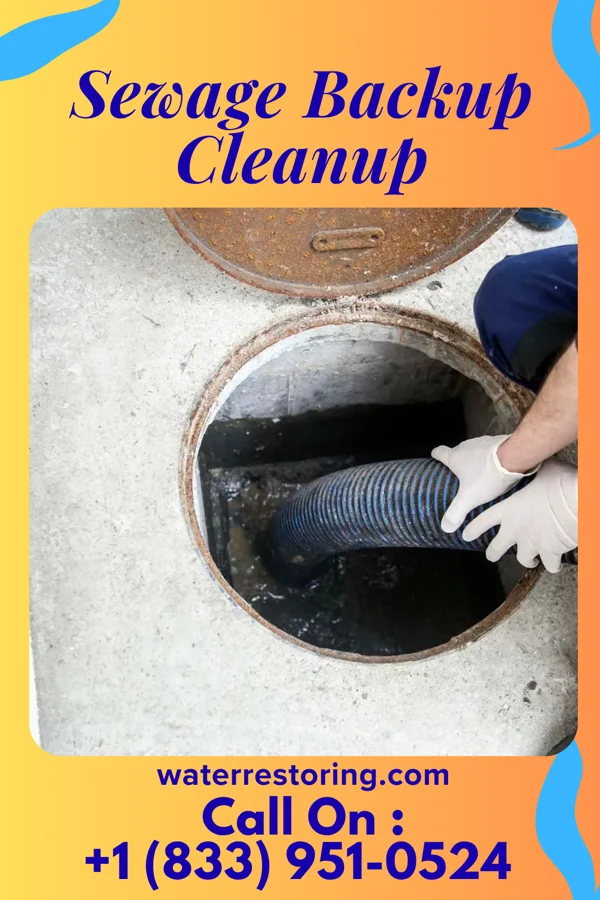 Sewage Backup Cleanup in Delway, NC