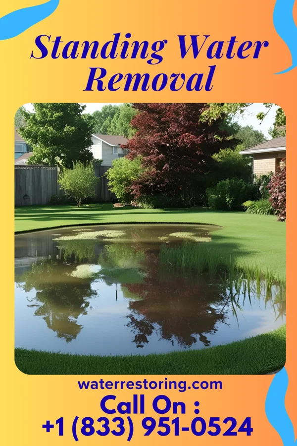 Standing Water Removal in Delway, NC